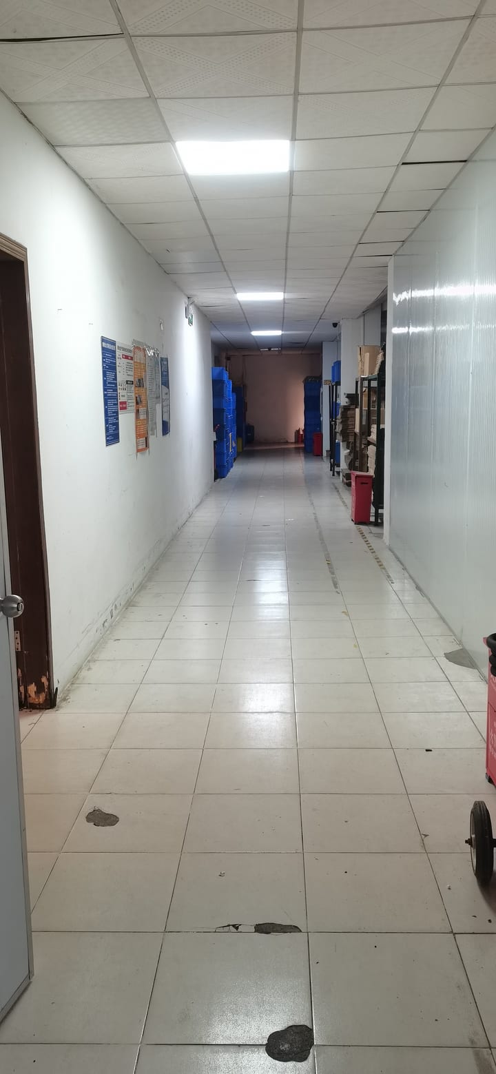 Factory internal corridor connecting production floor to storage and packing areas